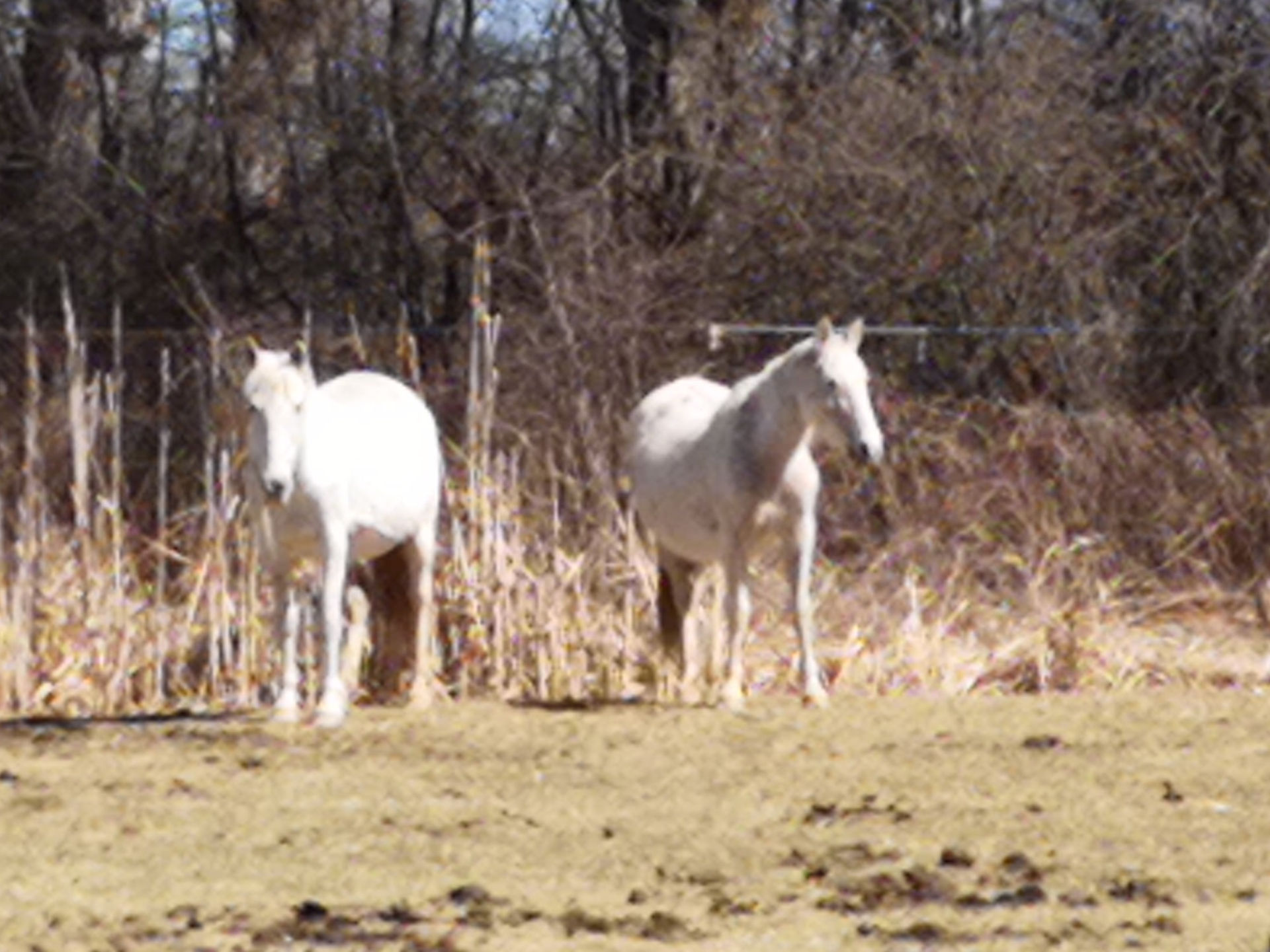 IMG_20190320_130814 (1)_edited