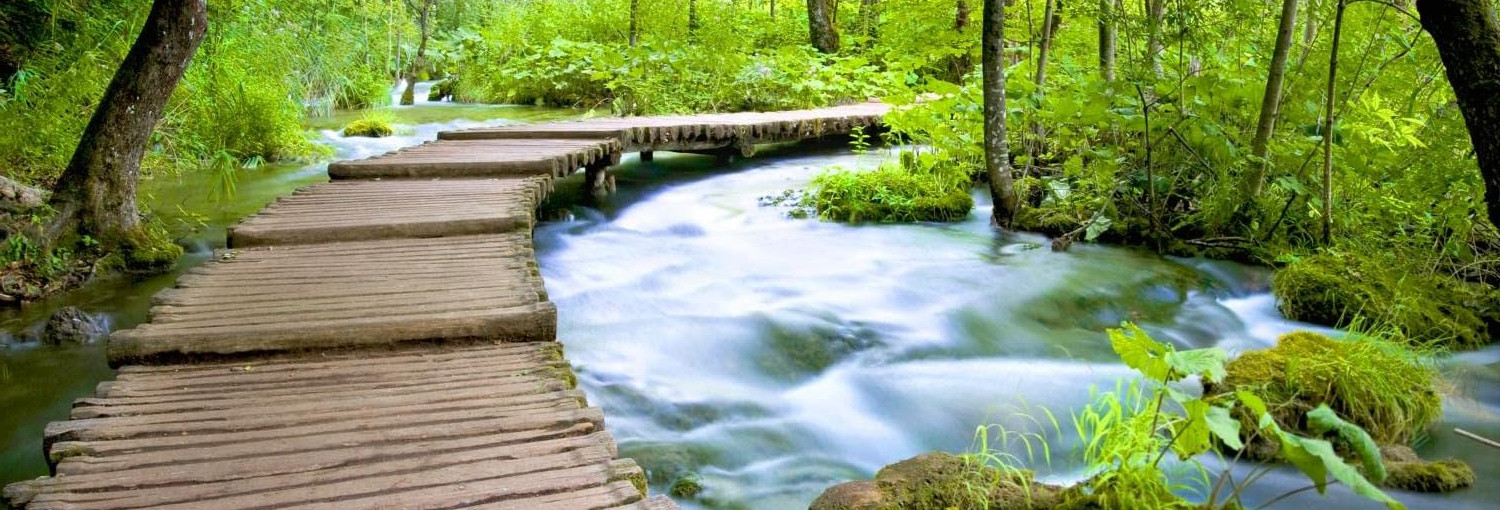 on s'enfonce dans la foret en empruntant un petit pont de bois traversant un ruisseau