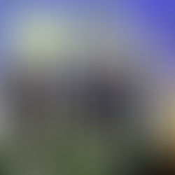 World Travel Awards 2025 Grand Final