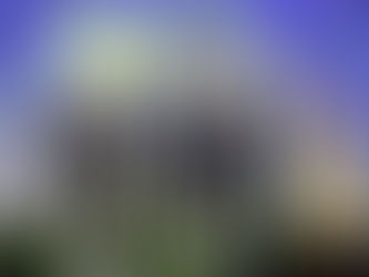 World Travel Awards 2025 Grand Final