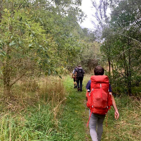 Comment marcher sur le Te Araroa trail ? Plutôt duo, solo, en groupe ou en famille ?