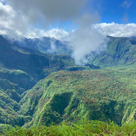 Tahiti : Le voyage d’une vie !