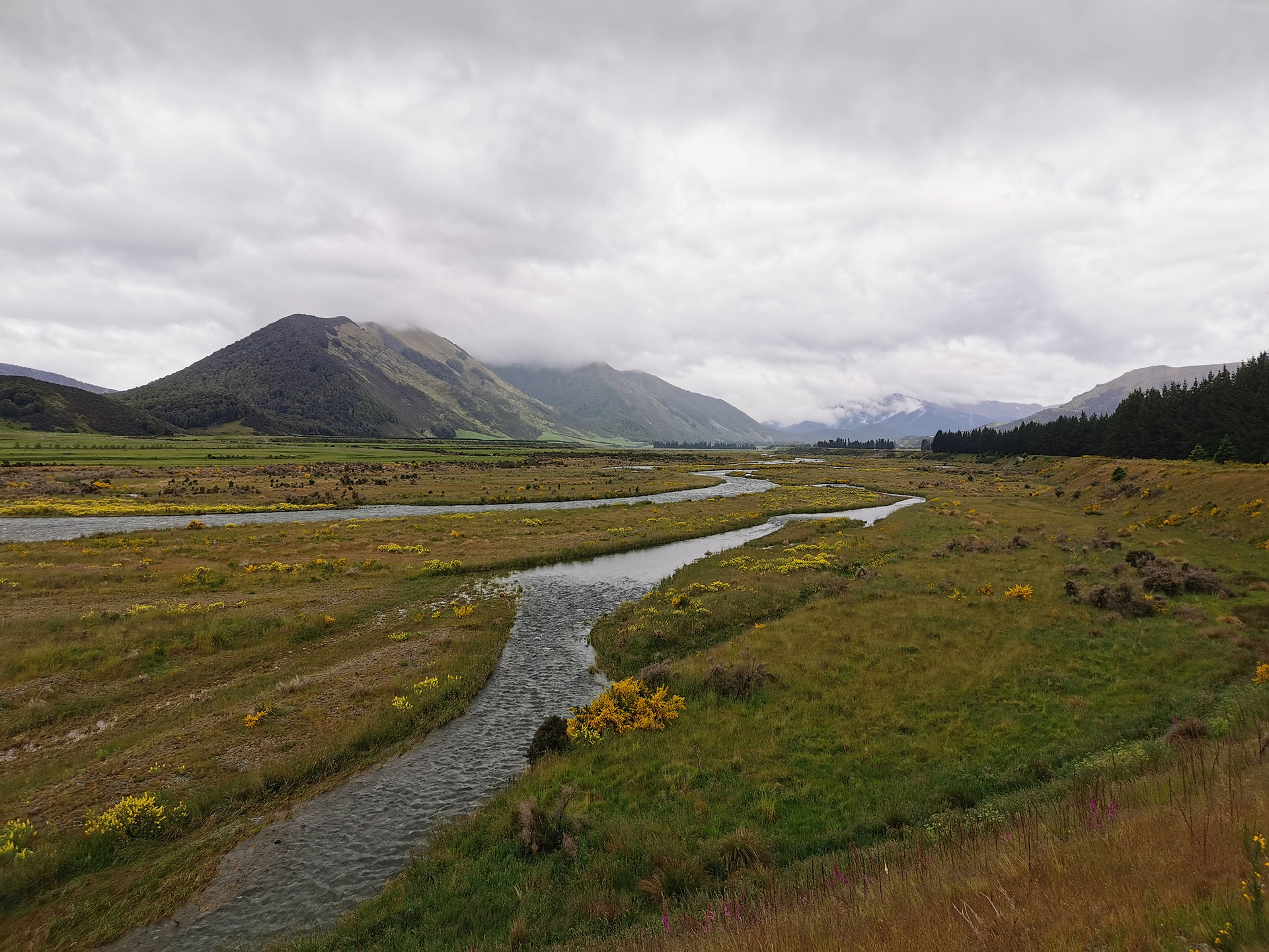 nature-te-araroa-trail