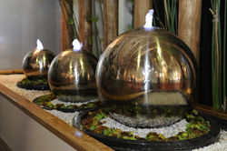 Jardim Europeu Contemporâneo