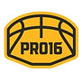 Pro 16 LOgo.jpeg