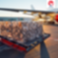 SP-AirCargo_Preview-4.png