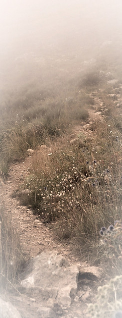 green-and-brown-grass-field-787621_edite