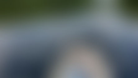 Weeks with the Rackham