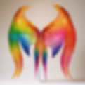 rainbow wings.jpg