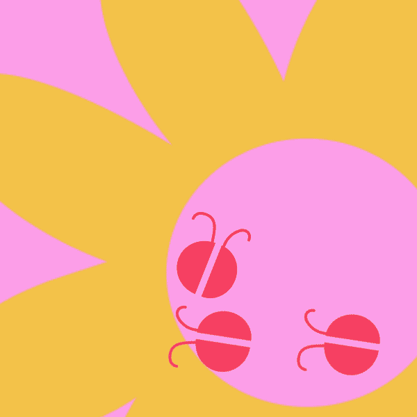 comp6.gif