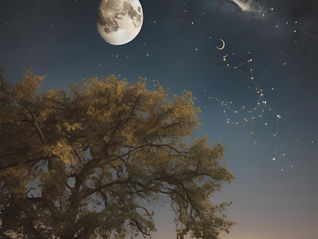 04/08 às 08h12: Lua Nova em Leão formando uma conjunção com Sol em Leão