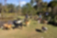 pro-X4MIslLZ.jpeg