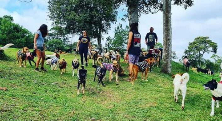 Captura de tela 2023-06-14 162041.jpg