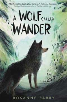 Kathy's Pick: Northwind by Gary Paulsen