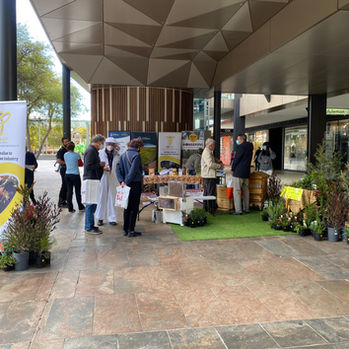 A hive of activity.jpg