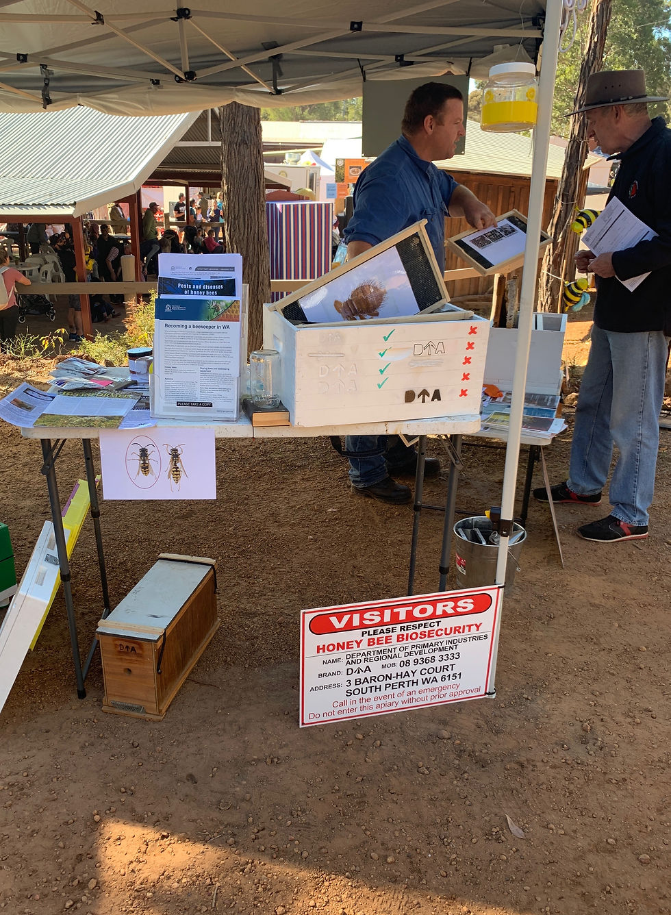 Honey Festival 19_5