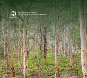 Have your say! Forest Management Plan 2024 - 2033