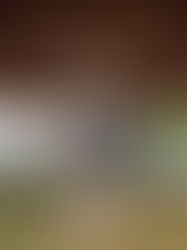 Who Decides How Hamilton Co. Is Remembered? 