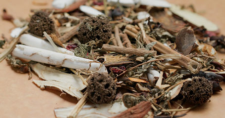 Chinese Herbal Medicines and Their Benefits