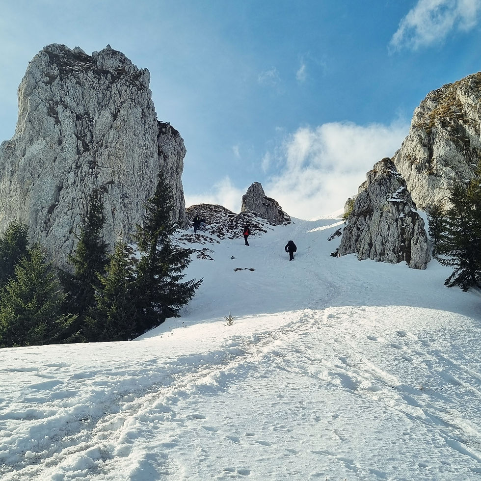 Vinerea spre Cabane: Piatra Mare