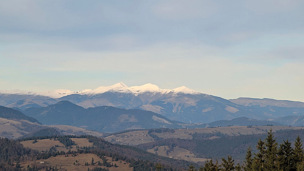 Drumeție Panoramică de Iarnă: Circuitul Vârful Casaru (Bârgău, Rodnei & Călimani)