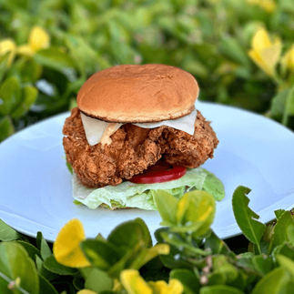 plated gourmet chicken sandwich