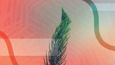 Perfect Partnerships: Discovering Your Ideal Clients