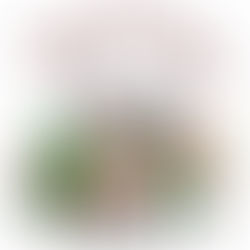 Shop Cleveland Market