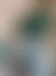 image00009