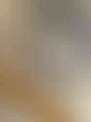 image00011