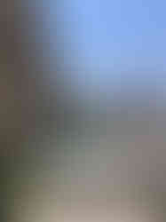 image00043