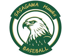 新規参戦チーム情報43