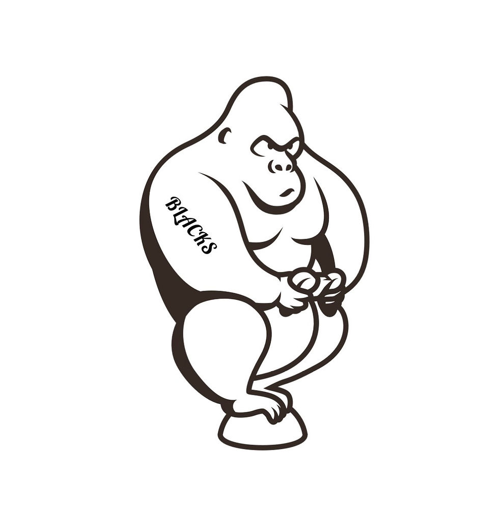 BLACKSチームロゴ