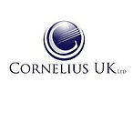Bright Solar lights Cornelius UK