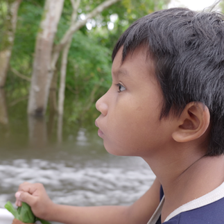 young man who went to capture bullet ants with ser andy