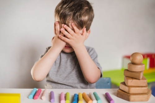 Promoting Emotional Regulation in Children
