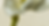 web5.png