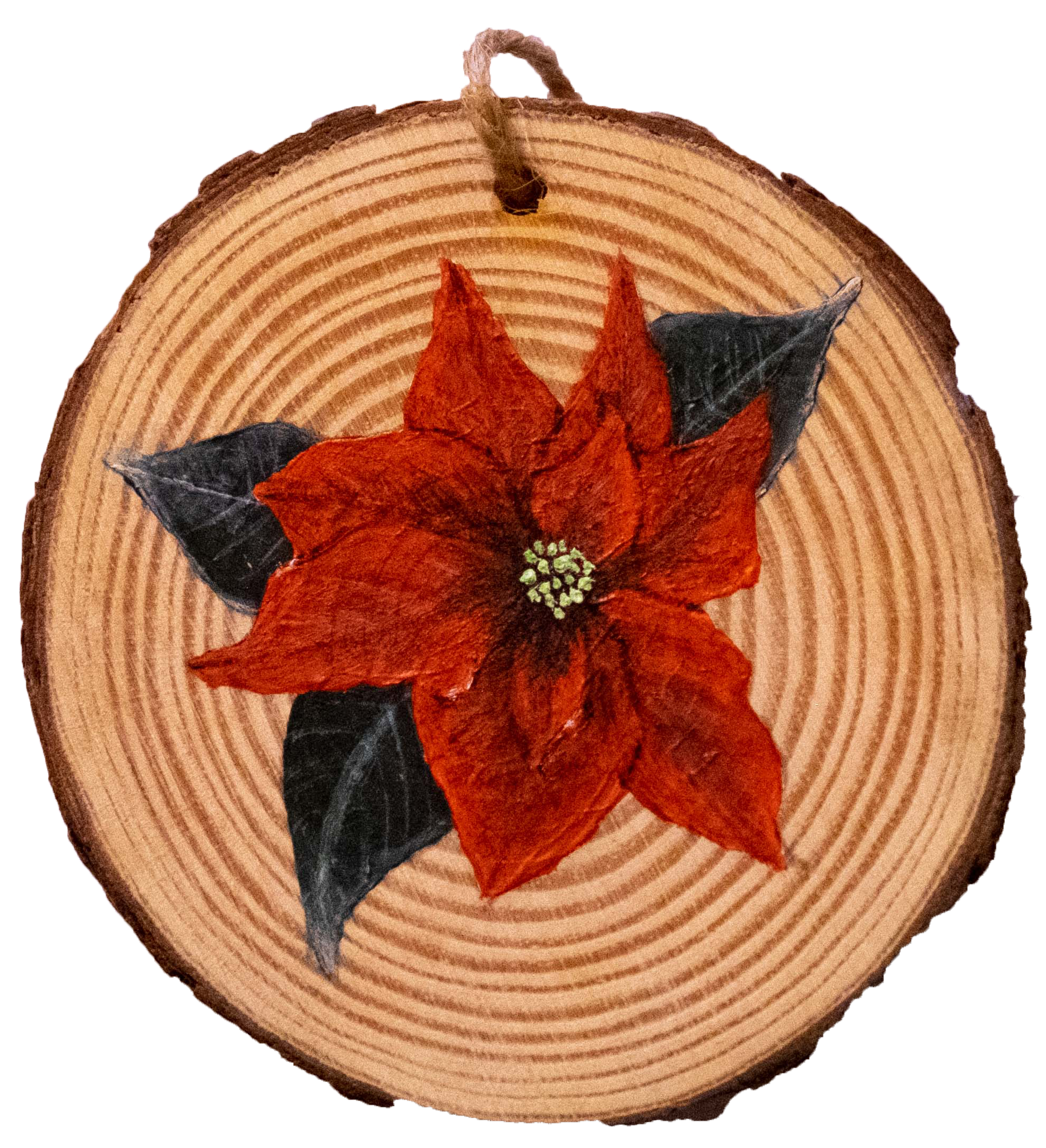Poinsettia 2
