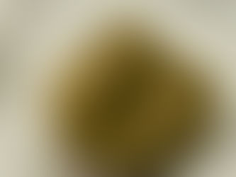 ゲストからの手土産帖「亀屋製菓の栗きんとん」