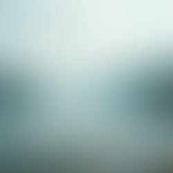 The Youth Sports Years