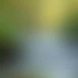 The Eastern Illinois University Years