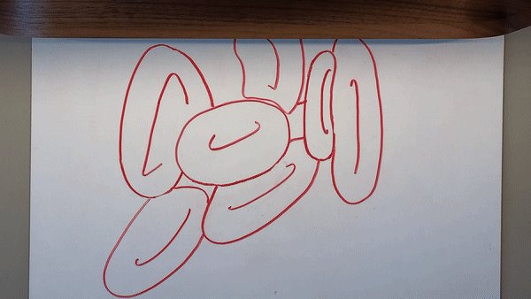 Carlos explains tonicity, showing how a salty solution causes cells to shrivel.