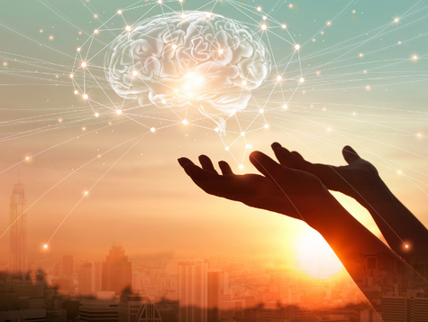 Como ser um(a) Legislador(a) com uma Mentalidade de crescimento para fazer a diferença na Política