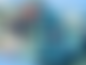 Reduza sua concorrência no Marketing Político, Campanha Eleitoral e Negócios com as Redes Sociais