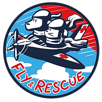 logo fly and rescue detoure carre.PNG