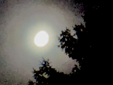 02/2026 Verbunden im Unfassbaren