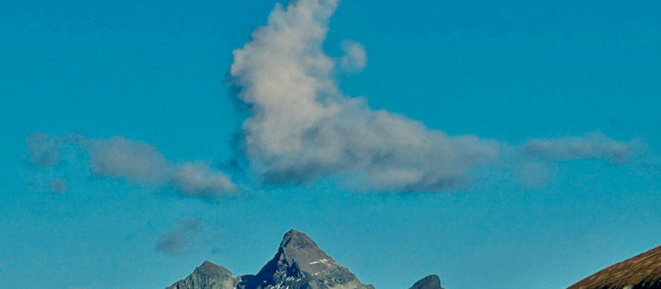 Mit Schwung und Elan durch das 2026