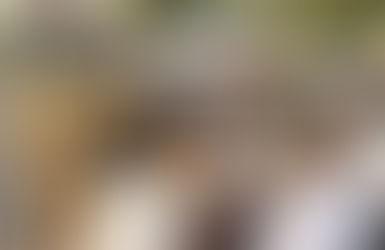 TN govt announces Rs 1,200 cr interim relief for transport staff