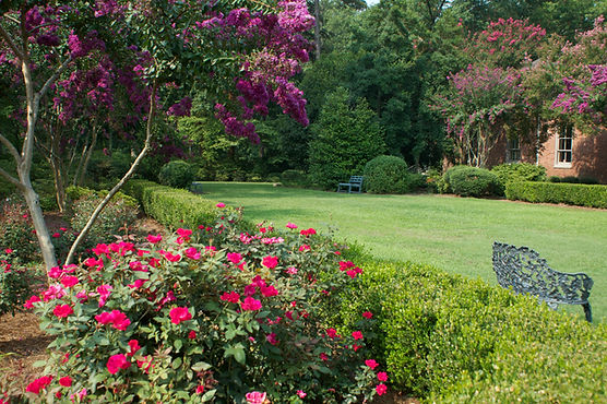 Courtyard Flowers.jpg