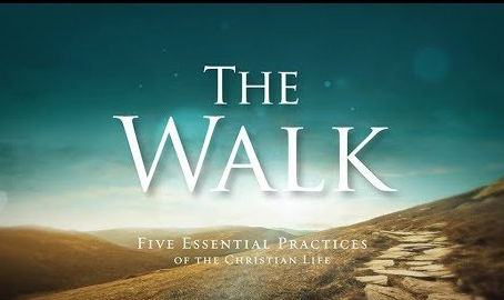 Book Study: "The Walk"